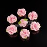 2pz ROSE in polymer 15mm con foro passante  - Light pink